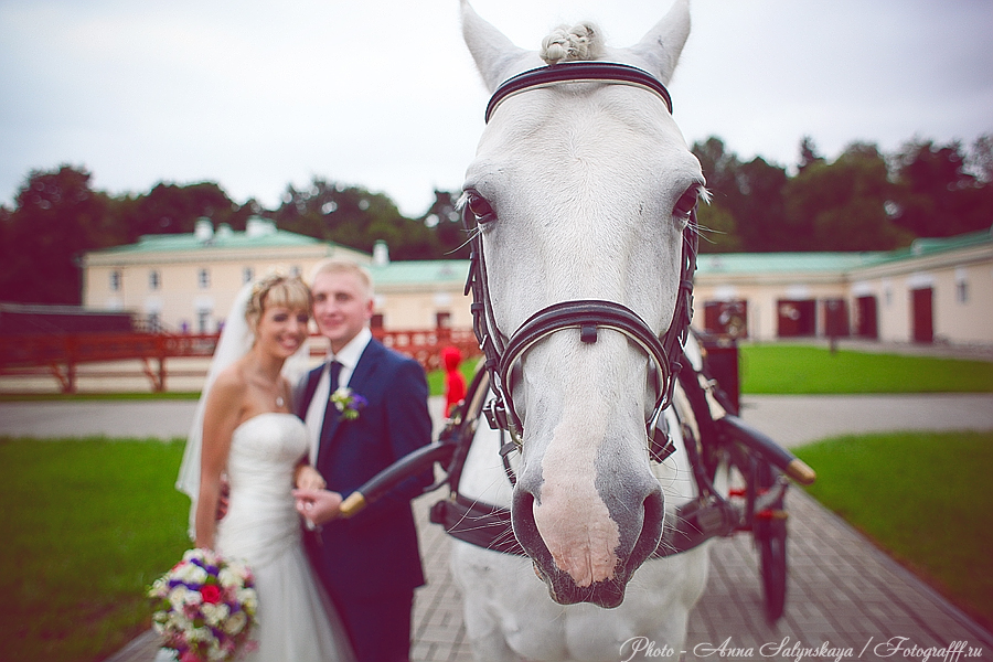 свадебная фотосессия с лошадью